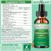 Organic Ashwagandha Drops High Absorption Ashwagandha Extract Tincture for Stress Relief Relaxation Cortisol Support Ashwagandha for Women & Men with Magnesium L Theanine Black Seed Oil Vegan Non-GMO - Buy Online on GoSupps.com
