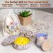ASH & HARRY Premium Candle Making Kit - Complete DIY Starter Set with Soy Wax, Designer Jars, and 10 Fragrances - Candle Maker Dyes included - Buy Online on GoSupps.com