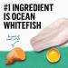 Beyond Grain Free Natural Dry Cat Food Wild-Caught Whitefish & Free Run Egg - 1.36 kg Bag 1.36 kg (Pack of 1) - Buy Online on GoSupps.com