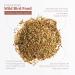 Schoen Farms Finch and Small Wild Bird Seed Food Mix (5 LBS) - Buy Online on GoSupps.com