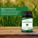 ORGANIC SPREE Alfalfa & Barley Grass Supplement 120 Tablets Each USDA Organic Medicago Sativa & Hordeum Vulgare Supports Detox and Immune Health* - Buy Online on GoSupps.com