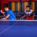Champion Sports Table Tennis Set - 4 Player Bundle - Buy Online on GoSupps.com