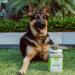 Zeofill Backyard Deodorizer - 8 lbs. | Eliminates Pet Urine Odors on Potty Patches | For Artificial Turf, Grass Lawns, Patios, Gravel, Concrete & Playgrounds | Odor Eliminator & Deodorizer - Buy Online on GoSupps.com