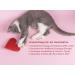 Felimove Cardio Herz-Liquid for Cats (60 ml) | Supports Heart Health Blood Pressure & Circulation with Omega-3 Taurine & Crataegus - Buy Online on GoSupps.com