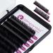 Silk Eyelashes - Individual D Curl 0.10mm Extensions - 10-13mm Mix - 8 Strips - Wimpanista - Buy Online on GoSupps.com