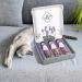 Buy Ne & No Gift Set with Natural Matatabi Sticks | 24 Dental Care Cat Sticks | Perfect Treats for Cats | International Shipping - Buy Online on GoSupps.com