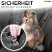 Kuinea Elastic Dog Seat Belt - Universal Car Safety Harness for All Breeds | Durable Dog Car Accessories - Buy Online on GoSupps.com
