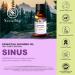SocialSKN Sinus Relief Essential Oil Blend - Rosemary Peppermint Eucalyptus Frankincense - Nasal Congestion Relief - 15.00 ml (Pack of 1) - Buy Online on GoSupps.com