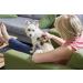PetWell Handheld Massager for Calming Anxiety in Dogs & Cats - Buy Online on GoSupps.com