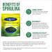 Earthrise Spirulina Natural Powder 32oz Natural Premium Spirulina from California- Vegan Gluten Free Keto Friendly Non -GMO Super Food high in Vitamins & Minerals. (2 LB) - Buy Online on GoSupps.com