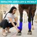 Hund ist K nig Self-Adhesive Elastic Bandage 12x4.7m - Perfect for Humans & Animals | 10 cm x 4.7 m Rolls (Blue) - Shop Now! - Buy Online on GoSupps.com