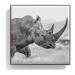 Luminescent Rhinoceros Eye Shade - 2.5g | High-Quality Eye Shadow - Buy Online on GoSupps.com