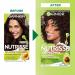 Garnier Nutrisse 33 Darkest Golden Brown Hair Color - Nourishing Creme Dye - Buy Online on GoSupps.com