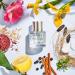 Lake & Skye Echo Lake Eau De Parfum Spray - Unisex Fragrance Collection (1.7 oz 50 ml) - Floral and Woody 1.7 Fl Oz (Pack of 1) - Buy Online on GoSupps.com
