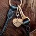 Soulhorse Exclusive Lucky Brand Halters & Bridles for Horses Ponies & Dogs | Premium Lucky Charms & Heart Brand Gold - Buy Online on GoSupps.com