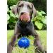 Tuff Pupper Superchewy Tough Ball Toys for Dogs | Durable Natural Rubber | Tested for Large Breeds | 2.5 Medium Dog Toy | Ultra-Durable Chew Ball - Buy Online on GoSupps.com