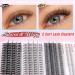 PHKERATA Individual Eyelashes DIY Extension Kit with Bond, Seal, and Tweezers | Wispy Cluster Lashes | 20D Bottom Wispy Mix Kit - Buy Online on GoSupps.com