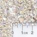 Vanilla Bean Holographic & Matte Chunky Mixed Glitter | Cosmetic Grade Festival Body Glitter for Face Hair Lips & Nails - 10g Pack - Buy Online on GoSupps.com