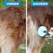 Bluepet Self-Cleaning Fiddling Brush for Cats & Dogs - Long-Haired Fur Care Tool for British Shorthairs - Best Plucking Brush for Pet Grooming - Buy Online on GoSupps.com