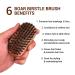 WavEnforcer Boar Bristle Pocket Military Brush - Best Beard Brush for Travel, Purse & On-the-Go Grooming | Medium- Firmness - Buy Online on GoSupps.com