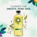 Herbal Essences Shine Collection Shampoo - 33.8 Fl Oz | Chamomile & Botanical Formula for Enhanced Shine | International Shipping - Buy Online on GoSupps.com