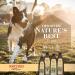 Burt's Bees Dog Shampoo with Coconut Oil | Hydrating Care Plus+ 16 fl oz - Buy Online on GoSupps.com