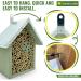 Garden Locker Wild Bee House Insect Home Bug Hotel in Green with Metal Roof Small Bug House with Cleaning Brush & Gift Box Attracts Bees Butterflies & many other Bugs & Insects - Buy Online on GoSupps.com
