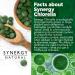 Synergy Natural Organic Chlorella 200 Tablets - Pure and Potent Superfood Supplement - Buy Online on GoSupps.com