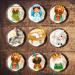 PRECUT Christmas Nativity Cupcake Toppers Edible Christmas Nativity Cake Decorations Christmas Decorations Christmas Cake Topper (12) - Buy Online on GoSupps.com
