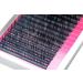Buy C Curl 12mm Mink Eyelash Extensions - 1000 Individual Hairs + Glue & Tweezer - Salon Quality False Lashes (Pack of 1 - Buy Online on GoSupps.com
