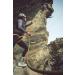 Petzl Grigri Beacon Black - One Size | Premium Climbing Belay Device | Fast International Shipping - Buy Online on GoSupps.com