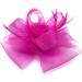 Ladies Feather Fascinator Headband/Clip for Weddings Races Royal Ascot Hair Piece (Hot Pink) - Buy Online on GoSupps.com