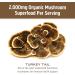 Om Mushroom Superfood Turkey Tail Powder | Organic Immune Support & Gut Health | 3.5 oz | 50 Servings - Buy Online on GoSupps.com