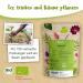 Pregnivital Puerperium Tea - 100% Organic Herbal Blend for Postpartum Recovery - Essential Female Mantle Yarrow & Shepherd's Whitewash - 15 Tea Bags - Buy Online on GoSupps.com