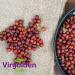 Rosehips Whole 500g by Virgolden - Buy Online on GoSupps.com