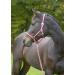 Kerbl Nylon Halter for Hippo Pony & Shetty - Full Cob & XFull Sizes in 6 Colors Including 3 Reds | Durable & Adjustable - Buy Online on GoSupps.com