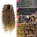 14 Deep Curly Drawstring Ponytail Extension for Black Women - Afro Kinky Curly Synthetic Hair Piece with Clips | T33/27 Ombre Blonde | 14 Inch - Buy Online on GoSupps.com