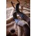 HEAT HOLDERS Men's 2.3 TOG Winter Thermal Crew Socks 7-12 Black Twist - Buy Online on GoSupps.com