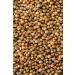 McCormick Gourmet Organic Coriander Seed - 0.87 oz - Buy Online on GoSupps.com