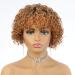 Short Curly Wigs For Black Women Human Hair Brown 1B30 Brazilian Hair Highlights wigs for Middle Aged women full Machine Made Natural Curls Wig with Hair Bangs 8 inch (brown 1B30)