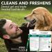 Vet s Best Dog Toothpaste Teeth Cleaning and Fresh Breath Dental Care Gel Kit - Buy Online on GoSupps.com