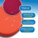 2 Pack - Inflated Stability Balance Disc  Including Free Pump - Bulk Packaging Blue - Buy Online on GoSupps.com