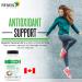 Renew Actives Coconut Oil Supplement - Antioxidants & Natural Fatty Acids for Health & Wellness - 120 Softgels - International Shipping Available - Buy Online on GoSupps.com