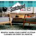 Scotchgard Rug & Carpet Cleaner Fabric Cleaner - 14 oz | Blocks Stains and Makes Cleanup Easier - Buy Online on GoSupps.com