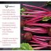 KaraMD UltraBeets | Doctor Formulated Beets Superfood Powder | Non-GMO Vegan Nitric Oxide Booster | Supports Heart Health, Circulation, and Energy | 30 Servings - Buy Online on GoSupps.com