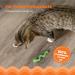 Catstages Orkakat Wiggle Worm Dental Catnip Cat Chew Toy - Buy Online on GoSupps.com