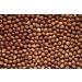 AgnesGP Hazelnuts In Shells for Wild Birds and Squirrels (5Kg Sack Included) - Nutrient-Rich Snack for Your Backyard Friends - Buy Online on GoSupps.com