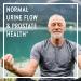 New Chapter Prostate 5LX - 120 Vegetarian Capsules for Optimal Health - Buy Online on GoSupps.com
