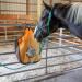 Majestic Ally 1/4" Rope 4 Knot Stiff Polyester Training Halter with 10 Matching Lead Rope for Horses Full (Red Full) Red Full - Buy Online on GoSupps.com