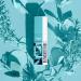 Natural Shoe Deodorizer Spray - Instant Odor Eliminator for Shoes & Sports Gear - 12 Essential Oils & Enzymes for Fresh Smell - Gym Bag Deodorizer - 4oz - Buy Online on GoSupps.com
